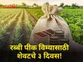 Crop Insurance : शेतकऱ्यांनो रब्बी हंगामातील पीक विमा भरा! शेवटचे केवळ ३ दिवसच बाकी - Marathi News | Crop Insurance Farmers pay crop insurance for Rabi season Only 3 days left | Latest agriculture News at Lokmat.com