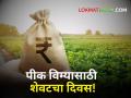 Crop Insurance : शेतकऱ्यांनो त्वरा करा! पीक विमा भरण्याची आजची शेवटची तारीख - Marathi News | Crop Insurance : Hurry farmers! Today is the last date for payment of crop insurance | Latest agriculture News at Lokmat.com