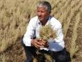 शेतमालाला भाव, दुष्काळात साथ एवढे दिले तरी खूप झाले - Marathi News | Giving price to the farmer, along with the famine, there is a lot | Latest vasai-virar News at Lokmat.com
