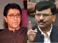 Sanjay Raut on Raj Thackeray: महाराष्ट्रात नवहिंदू ओवेसी, सेनेविरोधात लढविण्याचे काम; संजय राऊतांची राज ठाकरेंवर टीका - Marathi News | Sanjay Raut on Raj Thackray: Navhindu Owaisi in Maharashtra, fighting against shiv Sena; Sanjay Raut criticizes Raj Thackeray | Latest maharashtra News at Lokmat.com