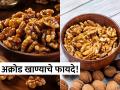 १ महिना रोज मुठभर अक्रोड खाल्ल्यानं काय होईल? फायदे वाचाल तर रोज खाल! - Marathi News | Benefits of eating a handful soaked walnuts every day for 1 month | Latest sakhi News at Lokmat.com