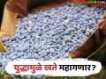 अमेरिका-इराण युद्धामुळे विद्राव्य खतांच्या किंमतीत वाढ होऊ शकते का? जाणून घ्या सविस्तर - Marathi News | Can the US-Iran war lead to an increase in the price of soluble fertilizers? Find out in detail | Latest agriculture News at Lokmat.com
