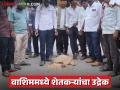 Washim APMC : दुपारपर्यंत हराशीच नाही; संतप्त सोयाबीन शेतकऱ्यांनी घेतला आक्रमक पवित्रा - Marathi News | latest news Washim APMC: No harvest till noon; Angry soybean farmers take aggressive stance | Latest agriculture News at Lokmat.com