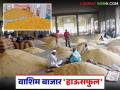 Washim APMC : वाशिम बाजार 'हाऊसफुल'; सोयाबीन–हळदीची सर्वाधिक दैनंदिन आवक - Marathi News | latest news Washim APMC: Washim market 'housefull'; highest daily arrival of soybeans and turmeric | Latest agriculture News at Lokmat.com
