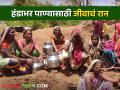 Water crisis : 'आधी लगीन पाण्याचं, मग आमच्या घरातलं', हंडाभर पाण्यासाठी जीवाचं रान करणाऱ्या महिला  - Marathi News | latest News Severe water shortage in Borpada village of Trimbakeshwar taluka | Latest agriculture News at Lokmat.com