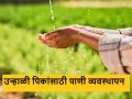 उन्हाळी पिकांसाठी पाणी व्यवस्थापन कसे कराल, हे उपाय ठरतील फायदेशीर  - Marathi News | latest News How to manage water for summer crops see details | Latest agriculture News at Lokmat.com