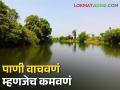 उपसाबंदीच्या काळात वाचवलेले पाणी ते आले आता कामी - Marathi News | The water that was saved during the lift irrigation ban period has now come into use | Latest agriculture News at Lokmat.com