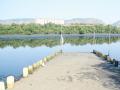 वॉटरफ्रण्ट डेव्हलपमेंट बॅकफूटवर - Marathi News | On the Waterfront Development Backfoot | Latest thane News at Lokmat.com