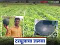टरबूजाने केली कमाल; रिस्क घेतली अन् मिळाला मोठा फायदा वाचा सविस्तर - Marathi News | latest news Watermelon did wonders; took a risk and got a big profit Read in detail | Latest agriculture News at Lokmat.com