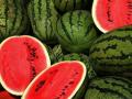 टरबूज उत्पादक १५ शेतकऱ्यांची ३५ लाखांत फसवणूक! - Marathi News | Watermelon producers 15 farmers cheated in 35 lakhs! | Latest crime News at Lokmat.com