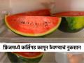 उन्हाळ्यात फ्रिजमध्ये कलिंगड कापून ठेवत असाल तर वेळीच व्हा सावध, वाढू शकतो या गोष्टीचा धोका... - Marathi News | Keeping this red fruit in the fridge during summer increases the risk of food poisoning, you should know | Latest sakhi News at Lokmat.com