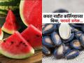 कलिंगडाच्या बिया कचरा समजून फेकू नका, बिया खाण्याचे फायदे वाचा- पुन्हा करणार नाही अशी चूक - Marathi News | Do you know the health benefits of eating roasted or raw watermelon seeds | Latest sakhi News at Lokmat.com