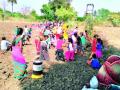 पाणीदार गावासाठी सरसावले ग्रामस्थ - Marathi News | Villagers come to a watery village | Latest nagpur News at Lokmat.com