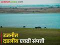 उजनी धरणाच्या पोटात दडलंय हजारो कोटींचं काळं सोनं? - Marathi News | Thousands of crores of black gold soil, sand hidden in the belly of Ujani Dam? | Latest agriculture News at Lokmat.com