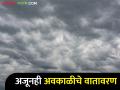 Weather Report : मराठवाडा, विदर्भासह खान्देशात गारपिटीची शक्यता, काय सांगतोय हवामान अंदाज?  - Marathi News | Latest News Chance of hail in Khandesh along with Marathwada, Vidarbha | Latest agriculture News at Lokmat.com