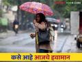Maharashtra Weather Update : कसे असणार आजचे हवामान? जाणून घ्या सविस्तर - Marathi News | Maharashtra Weather Update: How will the weather be today? Know in detail | Latest agriculture News at Lokmat.com
