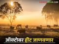 Maharashtra Weather update : आजपासून तापमानात वाढ होणार; काय असेल परिस्थिती वाचा सविस्तर - Marathi News | Maharashtra Weather update : Temperature will increase from today; What will be the situation read in detail | Latest agriculture News at Lokmat.com