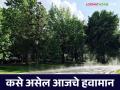 Maharashtra Weather Update : राज्यात आज पाऊस घेणार सुट्टी;  मात्र 'या' जिल्ह्यात लावणार हजेरी  - Marathi News | Maharashtra Weather Update : Today rain will get a holiday;  But will be present in 'this' district  | Latest agriculture News at Lokmat.com