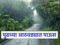 Maharashtra Rain Update: पुढच्या आठवड्यात 'या' तारखेपासून राज्यात जास्त पाऊस होणार - Marathi News | Maharashtra Weather Update: There will be more rain in the state from 'this' date next week | Latest agriculture News at Lokmat.com