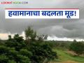 Maharashtra Weather Update : पहाटे गारवा, दुपारी उकाडा; महाराष्ट्रात तापमानात चढ-उतार सुरूच - Marathi News | latest news Maharashtra Weather Update : Cold in the morning, hot in the afternoon; Temperatures continue to fluctuate in Maharashtra | Latest agriculture News at Lokmat.com