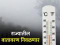 Weather : आठ डिसेंबरनंतर ढगाळ वातावरण बदलणार, थंडीला सुरवात होणार - Marathi News | | Latest agriculture News at Lokmat.com