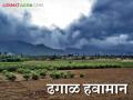 Maharashtra Weather Update : राज्यात 'या' ठिकाणी बाष्पयुक्त वाऱ्याने थंडीत वाढ; वाचा हवामान अंदाज सविस्तर - Marathi News | Maharashtra Weather Update: Coldness increases due to evaporative winds at 'these' places in the state; Read the detailed weather forecast | Latest agriculture News at Lokmat.com
