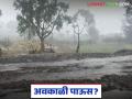 Maharashtra Weather Update : राज्यात हवामानाचं गणित बिघडलं; थंडी की पाऊस? वाचा सविस्तर - Marathi News | latest news Maharashtra Weather Update : Weather math in the state has gone wrong; Cold or rain? Read in detail | Latest agriculture News at Lokmat.com
