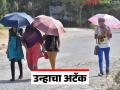 Maharashtra Weather Update : थंडीला ब्रेक, उन्हाचा अटॅक; राज्यात तापमान वाढीचा अलर्ट - Marathi News | latest news Maharashtra Weather Update: Break from cold, attack of heat; Alert of temperature rise in the state | Latest agriculture News at Lokmat.com