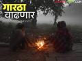 Maharashtra Weather Update : आता थंडीचा जोर वाढणार; IMD चा रिपोर्ट वाचा सविस्तर - Marathi News | Maharashtra Weather Update : The force of cold will increase now; Read the IMD report in detail | Latest agriculture News at Lokmat.com
