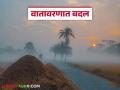 Maharashtra Weather Update : वातावरणात बदल; 'या' जिल्ह्यांत गारठा, तर काही भागांत ढगाळ वातावरण वाचा सविस्तर - Marathi News | latest news Maharashtra Weather Update: Change in the weather; Cold in 'these' districts, cloudy weather in some areas Read in detail | Latest agriculture News at Lokmat.com