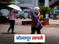 Maharashtra Weather News: राज्यातील 'या' जिल्ह्यात सुर्यदेव तापले; जाणून घेऊ या आजचे हवामान - Marathi News | Maharashtra Weather News: Sun is hot in this district of the state; Let's know today's weather | Latest agriculture News at Lokmat.com