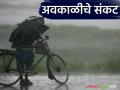Maharashtra Weather Update : राज्यात 'या' जिल्ह्यात विजांसह अवकाळी पावसाचा मोठा इशारा वाचा सविस्तर - Marathi News | Maharashtra Weather Update: latest news Big warning of unseasonal rains with lightning in 'this' district of the state, read in detail | Latest agriculture News at Lokmat.com