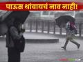 Maharshtra Weather Update : हवामान विभागाचा इशारा; पुढील चार दिवस राज्यात पावसाचा जोर कायम! - Marathi News | latest news Maharashtra Weather Update: Meteorological Department warns; Heavy rains to continue in the state for the next four days! | Latest agriculture News at Lokmat.com