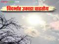 Maharashtra Weather Update: IMD ने 'या' जिल्ह्यांमध्ये दिला अवकाळी पावसाचा इशारा वाचा सविस्तर - Marathi News | Maharashtra Weather Update: IMD warns of unseasonal rains in 'these' districts Read in detail | Latest agriculture News at Lokmat.com