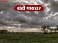 Maharashtra Weather Update : राज्यावर अवकाळी पावसाचं सावट; 'या' जिल्ह्यांना यलो अलर्ट वाचा सविस्तर - Marathi News | latest news Maharashtra Weather Update: Unseasonal rains loom over the state; Yellow alert for 'these' districts, read in detail | Latest agriculture News at Lokmat.com