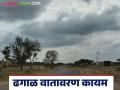 Maharashtra Weather Update : कोकणात पावसाची शक्यता; IMD चा रिपोर्ट वाचा सविस्तर - Marathi News | Maharashtra weather today's weather warning read in details | Latest agriculture News at Lokmat.com