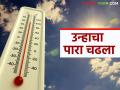 Maharashtra Weather Update: राज्यात उन्हाचा पारा चढला; IMD ने काय दिला अलर्ट वाचा सविस्तर - Marathi News | Maharashtra Weather Update: latest news The temperature in the state has risen; Read the alert given by IMD in detail | Latest agriculture News at Lokmat.com