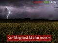 Maharashtra Weather Update: सावधान! महाराष्ट्रात ४० किमी वेगाचे वारे आणि पाऊस वाचा सविस्तर - Marathi News | latest news Maharashtra Weather Update: Beware! 40 kmph winds and rain in Maharashtra Read in detail | Latest agriculture News at Lokmat.com