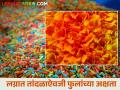 ग्रामसभेचा हटके ठराव; आता शेतकऱ्यांच्या फुलांना मिळेल चांगला बाजारभाव - Marathi News | resolution of Gram Sabha; Now farmers' flowers will get good market price | Latest agriculture News at Lokmat.com