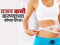 जिमला न जाताही कमी करू शकता वाढलेलं वजन, फक्त रोज करा 'ही' सोपी कामं! - Marathi News | You can lose weight even without going to the gym | Latest sakhi News at Lokmat.com