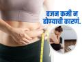 एक्सरसाईज-डायटिंग सगळं करूनही वजन कमी होत नाहीये? हे ४ हार्मोन्स असू शकतात कारण! - Marathi News | Fitness coach shares details of 4 hormones that stopping fat loss | Latest sakhi News at Lokmat.com