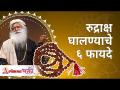 रुद्राक्ष घालण्याचे ६ फायदे कोणते? Sadhguru Jaggi Vasudev | Lokmat Bhakti - Marathi News | What are the 6 benefits of wearing Rudraksha? Sadhguru Jaggi Vasudev | Lokmat Bhakti | Latest bhakti Videos at Lokmat.com