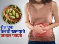 'या' लोकांनी रोज खावी एक वेलची, सुगंधी वेलचीचे फायदे अनेक-सोपा आरोग्यदायी उपाय - Marathi News | Dietitian told who should eat 1 cardamom daily and its benefits | Latest sakhi News at Lokmat.com
