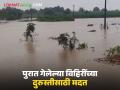 पुरामुळे खचलेल्या व बुजलेल्या विहिरींना मिळणार आता वेगळी मदत; किती आणि कसे मिळणार पैसे? - Marathi News | Wells damaged and submerged due to floods will now get special assistance; How much money will they get and how will they get it? | Latest agriculture News at Lokmat.com
