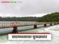 धरण पाणलोट क्षेत्रात मुसळधार पाऊस; राधानगरी, कोयना तसेच अलमट्टी धरणांची काय परिस्थिती? - Marathi News | Heavy rains in the dam catchment area; What is the situation of Radhanagari, Koyna and Almatti dams? | Latest agriculture News at Lokmat.com