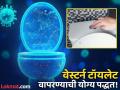 जास्तीत जास्त लोक वेस्टर्न टॉयलेट वापरताना करतात 'या' चुका, जाणून घ्या फ्लश करण्याची योग्य पद्धत! - Marathi News | Right way to use western toilet flush | Latest health News at Lokmat.com