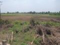 नागपूर जिल्ह्यातील शेतकऱ्यांचे नऊ कोटी रुपयांचे नुकसान - Marathi News | Nine crore losses of farmers in Nagpur district | Latest nagpur News at Lokmat.com