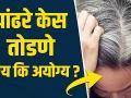 पांढरे केस तुम्ही पण तोडता का? | How to Get Rid Damaged Hair | White Hair to Black Hair Naturally - Marathi News | Do you also break white hair? | How to Get Rid Damaged Hair | White Hair to Black Hair Naturally | Latest beauty Videos at Lokmat.com