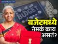 Budget 2025: अर्थसंकल्प तुमच्याही डोक्यावरुन जातो? फक्त 'हे' ८ मुद्दे समजून घेतलं तरी बजेट कळेल - Marathi News | budget 2025 quick guide on how to read and know the budget | Latest business News at Lokmat.com