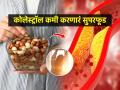 कोलेस्टेरॉल नेहमीच कंट्रोलमध्ये ठेवणारे ६ पदार्थ- नियमितपणे खा आणि हार्ट ॲटॅकचा धोका टाळा - Marathi News | 6 Food that helps to control cholesterol, How to control bad cholesterol, seeds and nuts and dry fruits to control cholesterol | Latest sakhi Photos at Lokmat.com